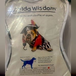 Dog Halloween pirate costume bulldog